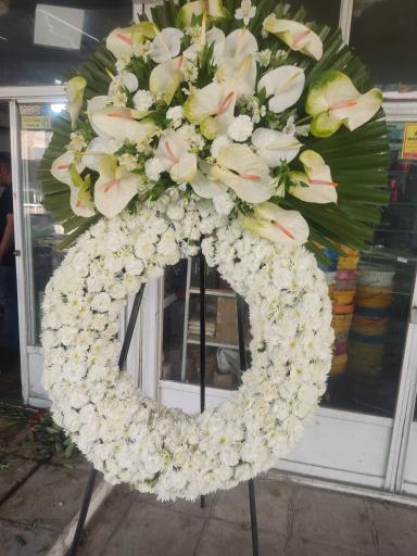 عکس آقای  گل هدایت  دروس