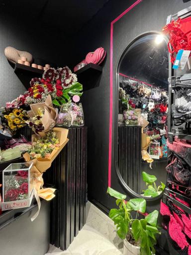 عکس مزون سامو