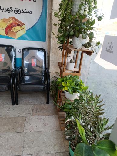 عکس بیمه دی حسینی