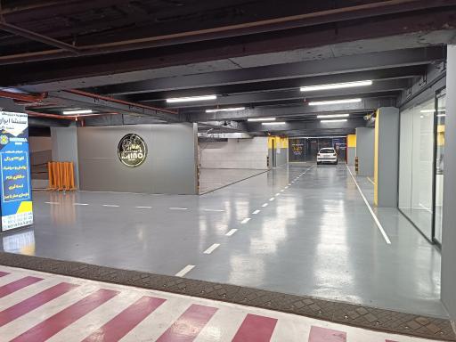 عکس کارواش راینو