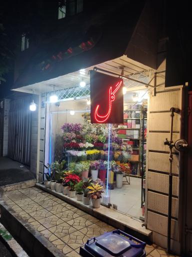 عکس آقای  گل هدایت  دروس