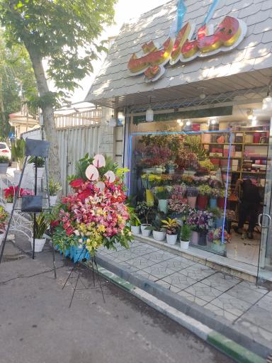 عکس آقای  گل هدایت  دروس