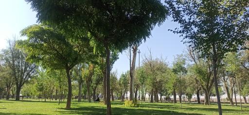 عکس پارک صحیه (یادمان دکتر ریاحی)