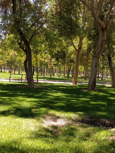 عکس پارک صحیه (یادمان دکتر ریاحی)