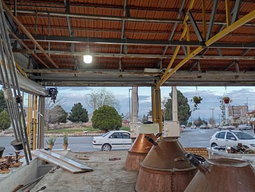 عکس گلاب کعبه 