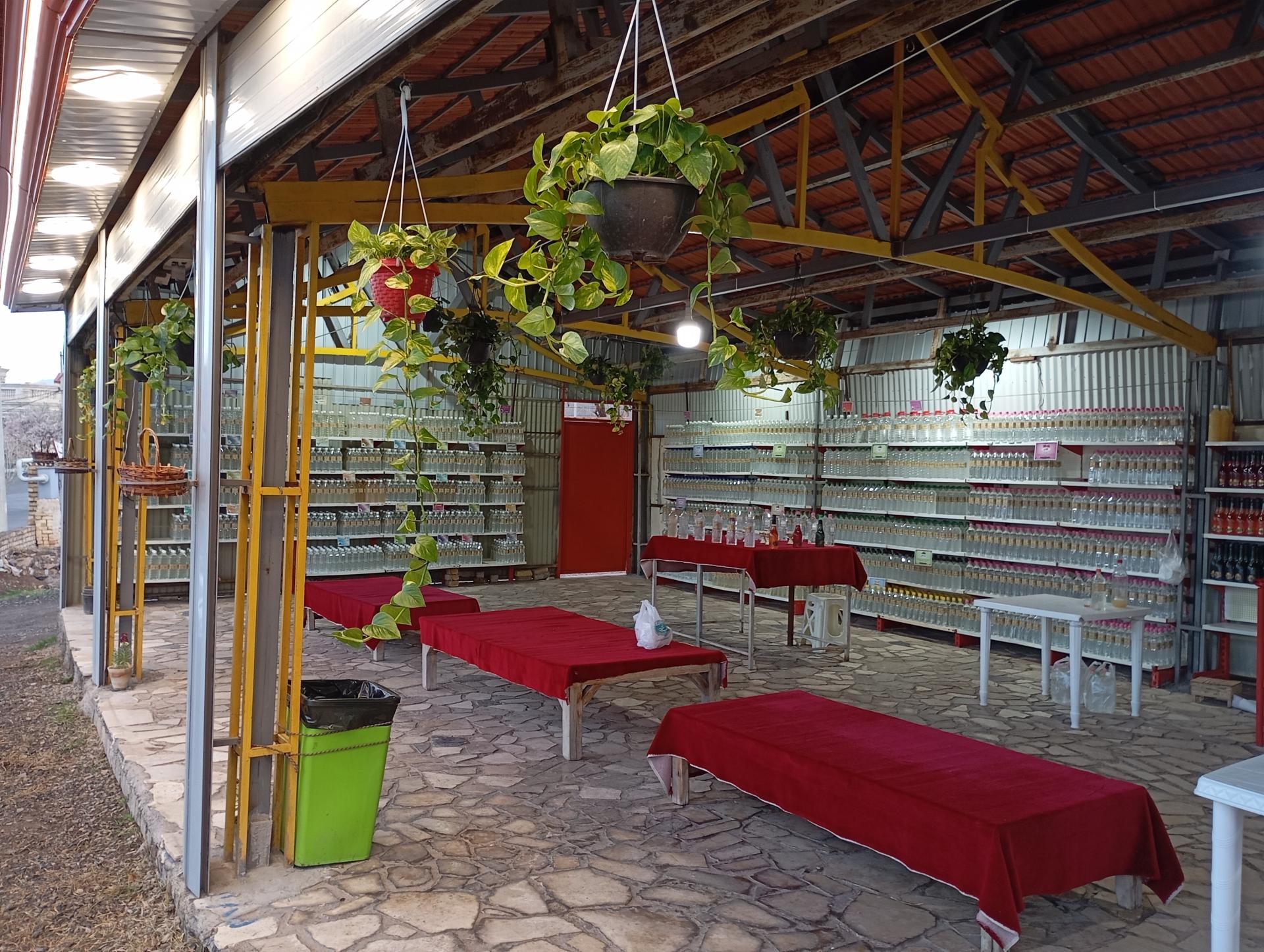 عکس گلاب کعبه 