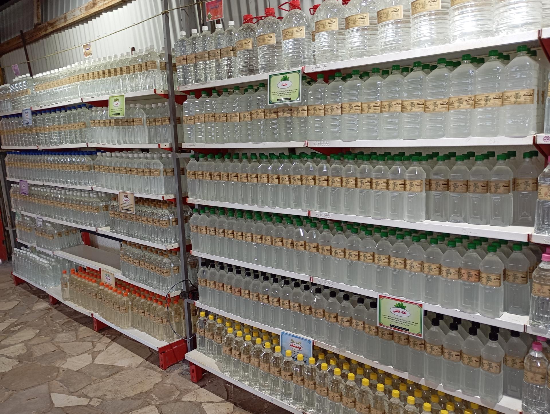 عکس گلاب کعبه 