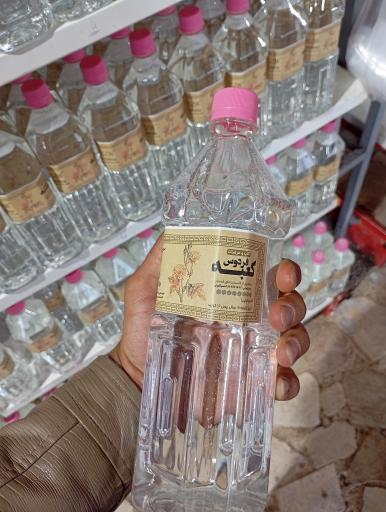 عکس گلاب کعبه 