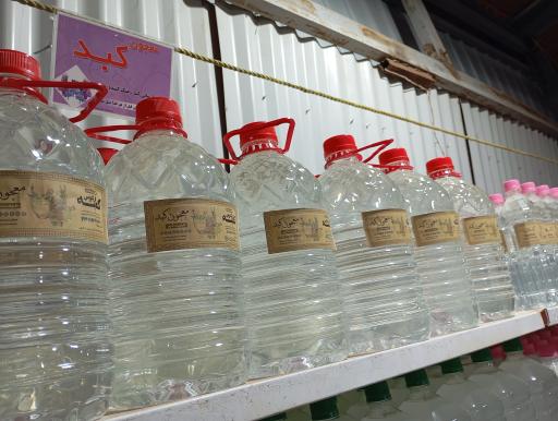 عکس گلاب کعبه 