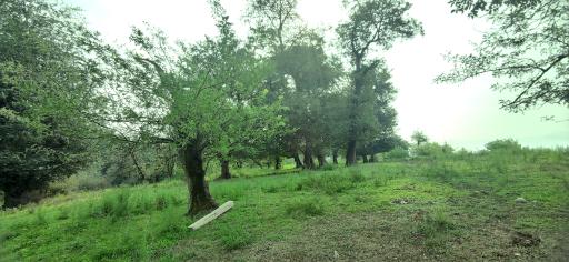 عکس سنگسی 