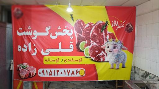 عکس اطلس گوشت قلی زاده