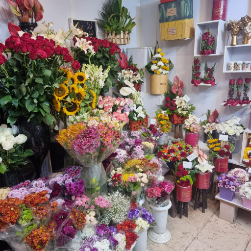 عکس گل نوژا