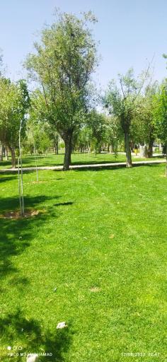 عکس پارک صحیه (یادمان دکتر ریاحی)