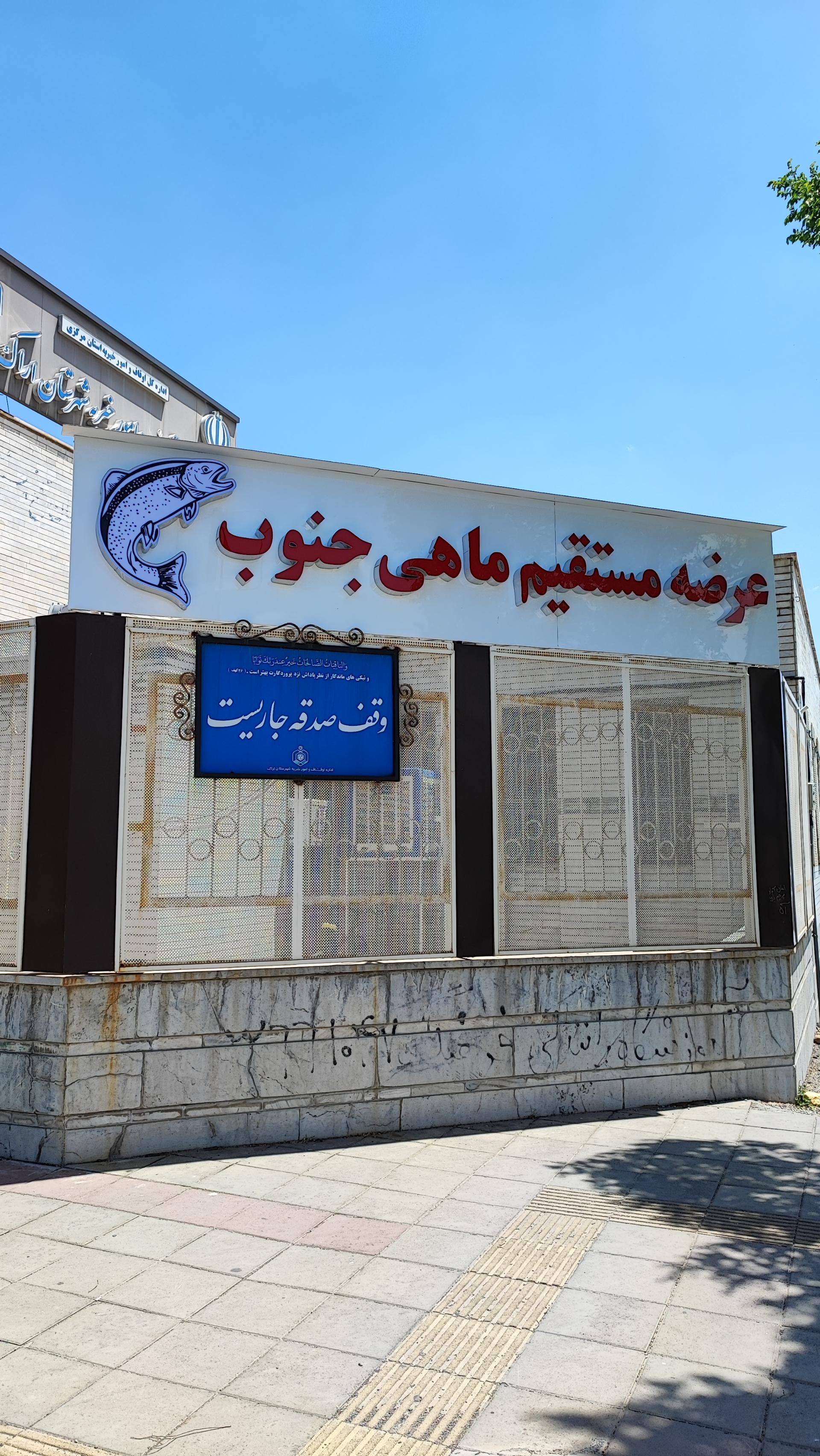 عکس عرضه مستقیم ماهی جنوب درنیکا