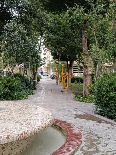 عکس پارک سروستان