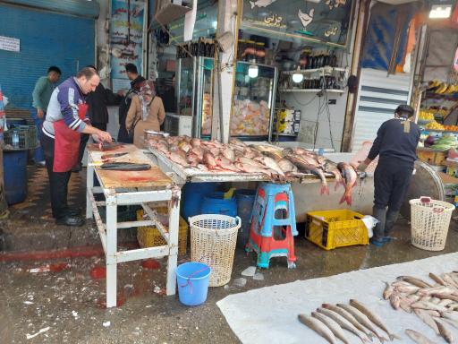 عکس مرغ و ماهی نهاوندی