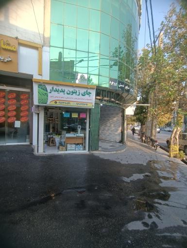 عکس چای و زیتون پدیدار