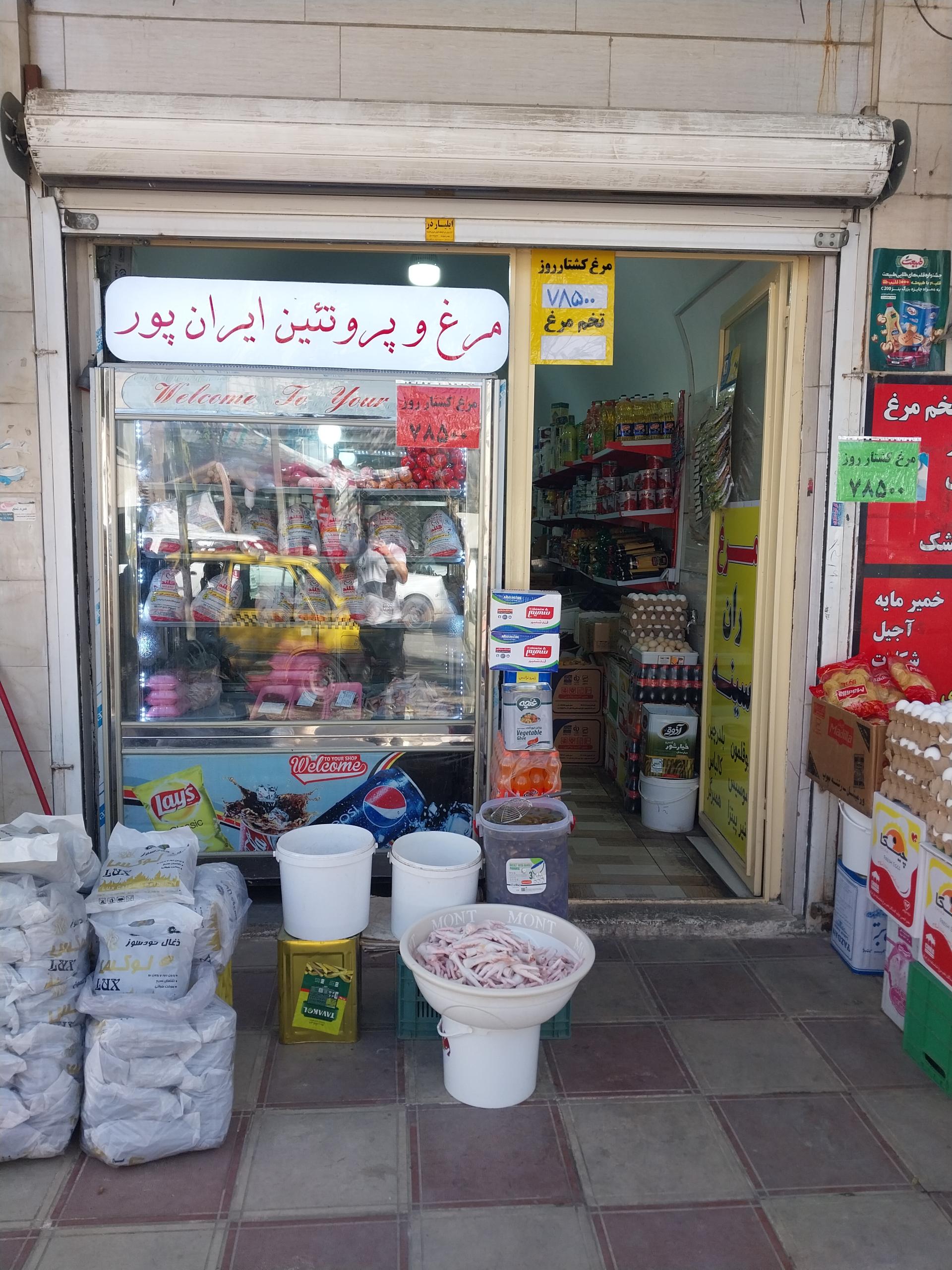 عکس مرغ فروشی ایران پور