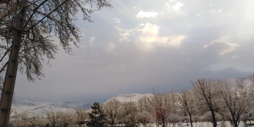 عکس پارک رود