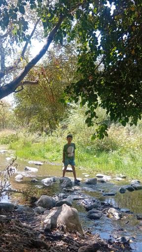 عکس پارک رود