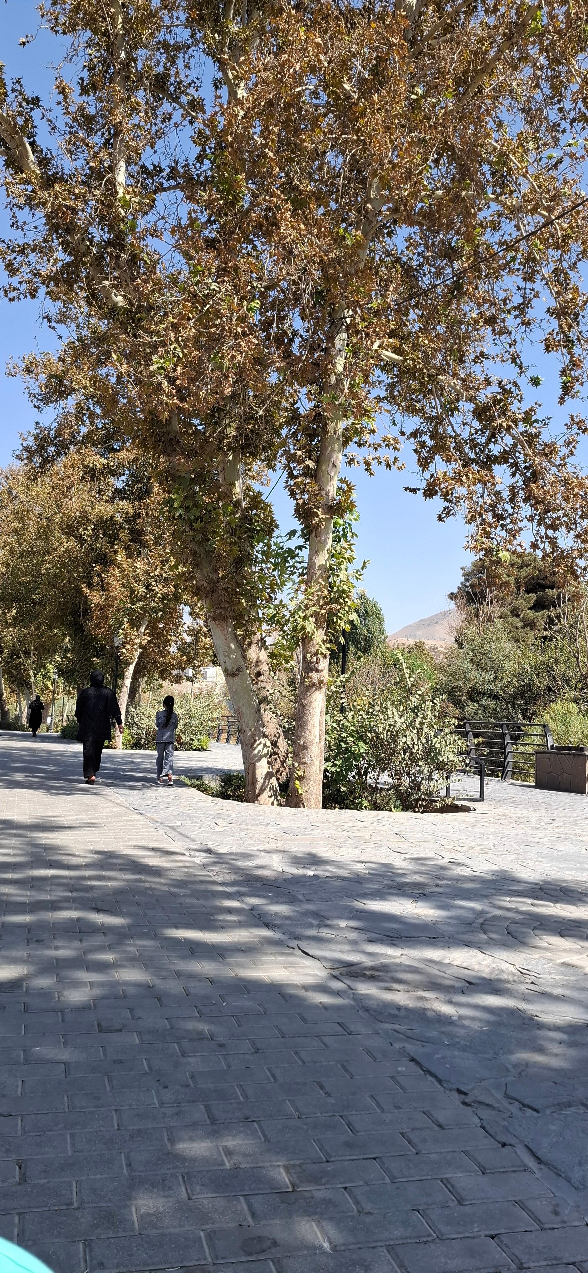 عکس پارک رود