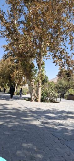 عکس پارک رود