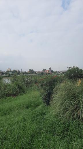 عکس هتل کوشیار