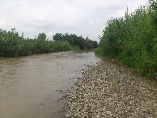 عکس رودخانه بابلرود