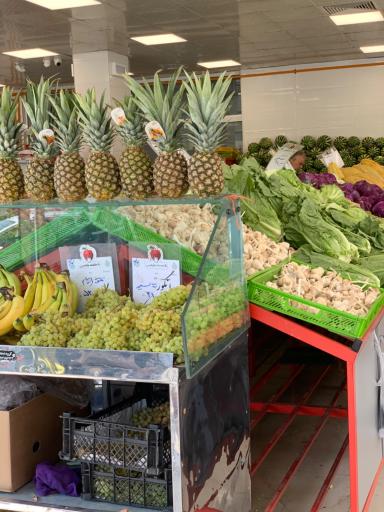 عکس بازار روز علیخانی 