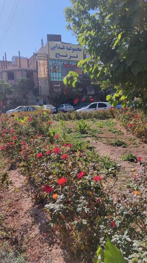 عکس فست فود ترنج