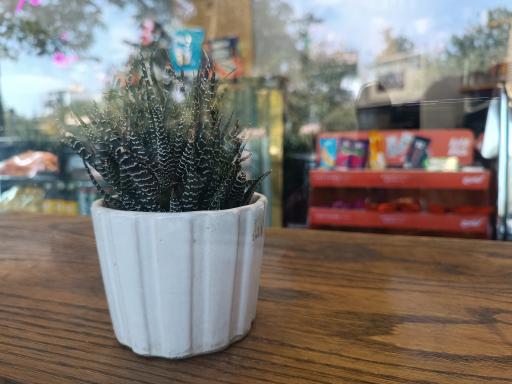 عکس قهوه فروشی ایران 12