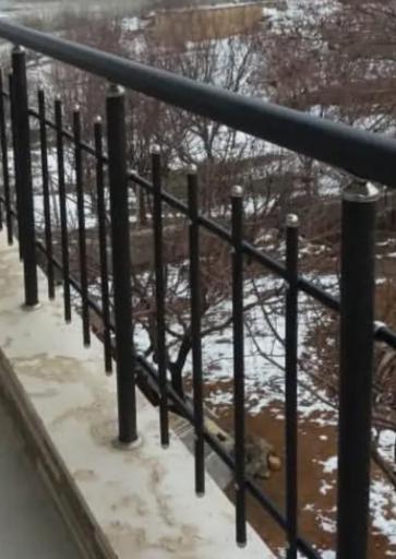 عکس شرکت مدرن صنعت ایرانیان عارف نژاد