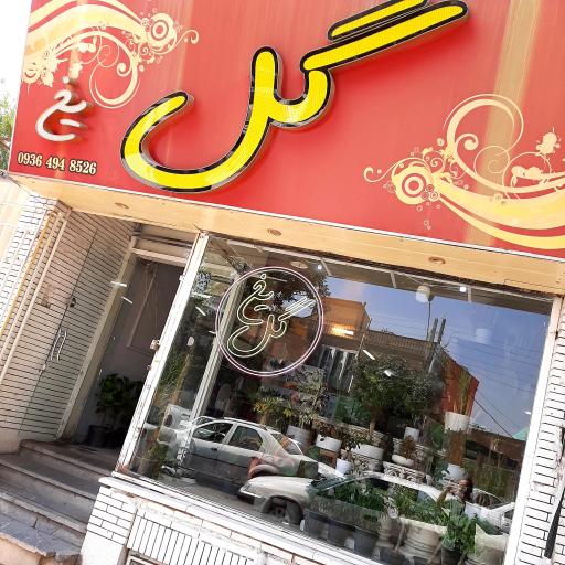 عکس گلفروشی گل یخ