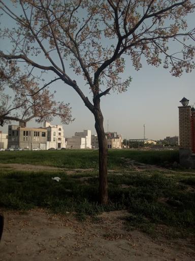 عکس بوستان سید برهان موسوی