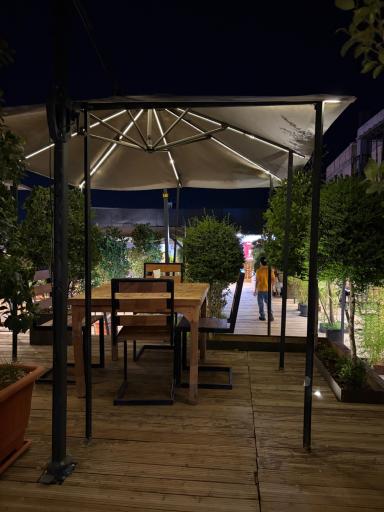 عکس پیتزا سارای