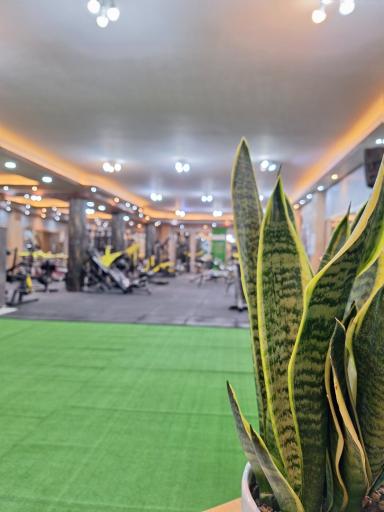 عکس باشگاه بدنسازی امپراتور پارسه