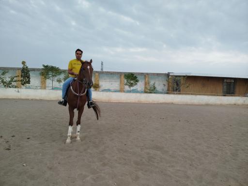 عکس مجموعه سوارکاری کوروش