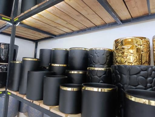 عکس فروشگاه گیاه آپارتمان و گلدان خاص رودراکشا