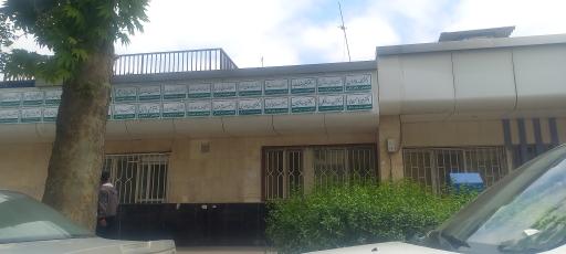 عکس دکتر پوریا حسن پور