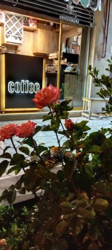 عکس قهوه 24