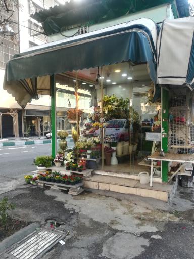 عکس کیوسک گلفروشی