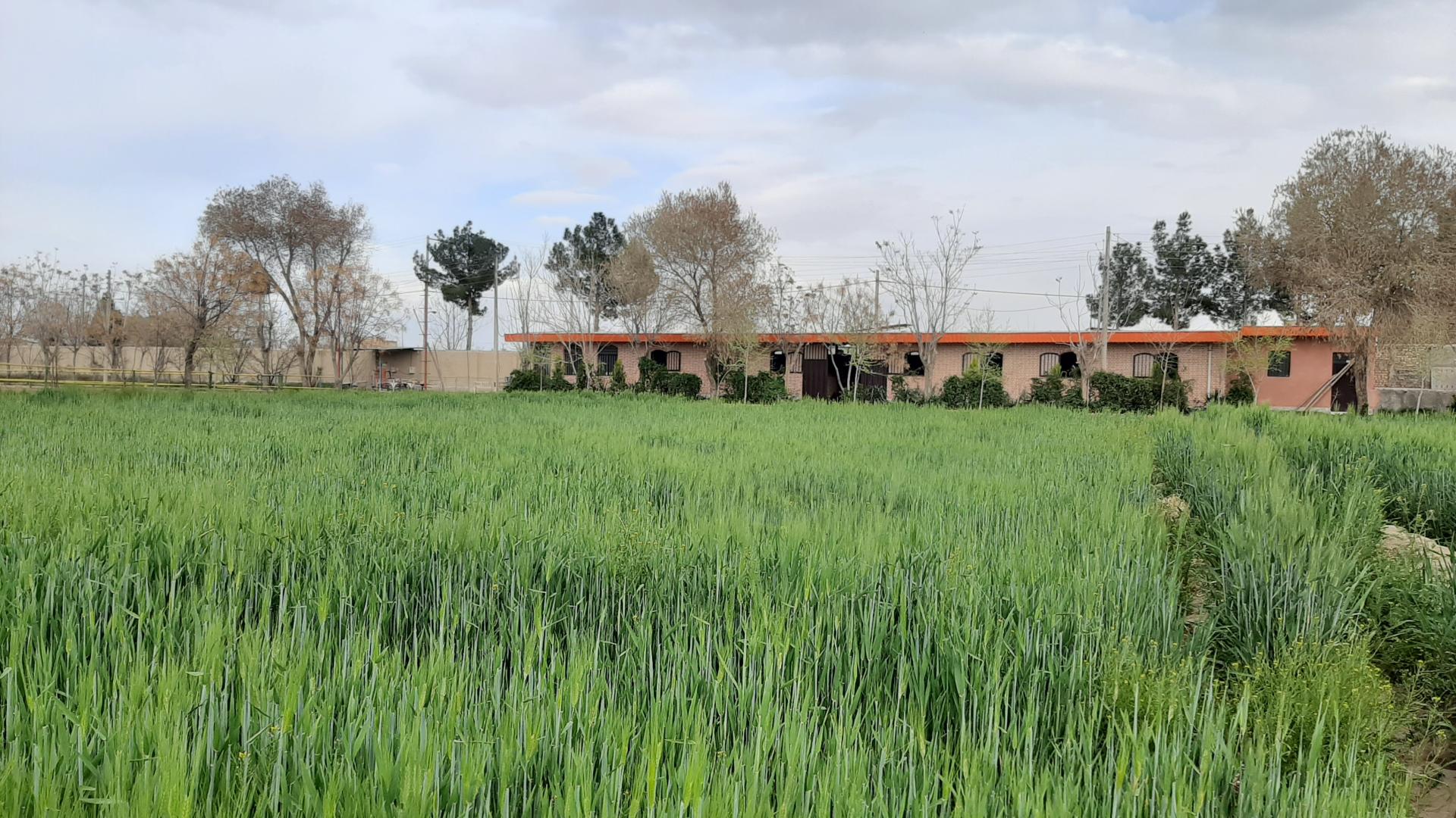 عکس باشگاه سوارکاری اُمیدان