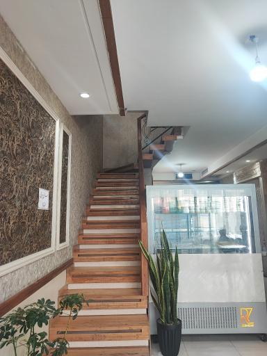 عکس کترینگ دارچین 