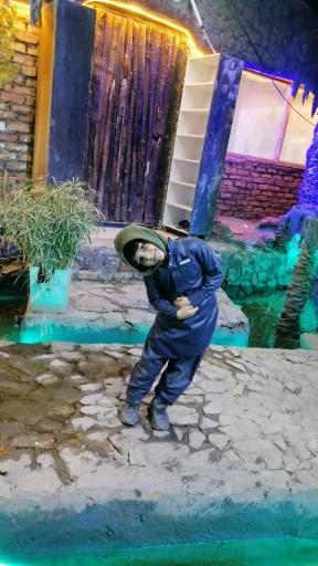 عکس رستوران حامی