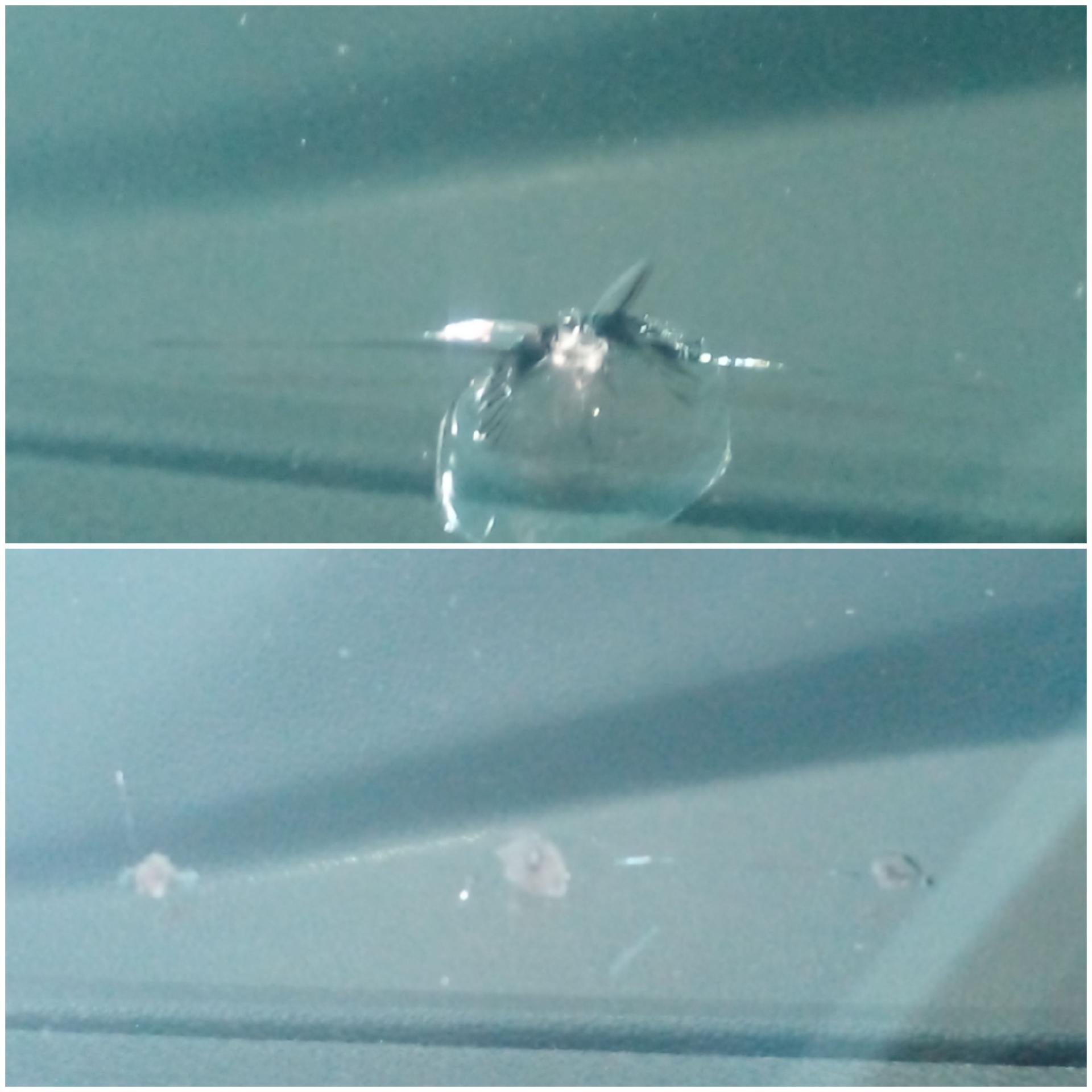 عکس شیشه اتومبیل حسین زاده