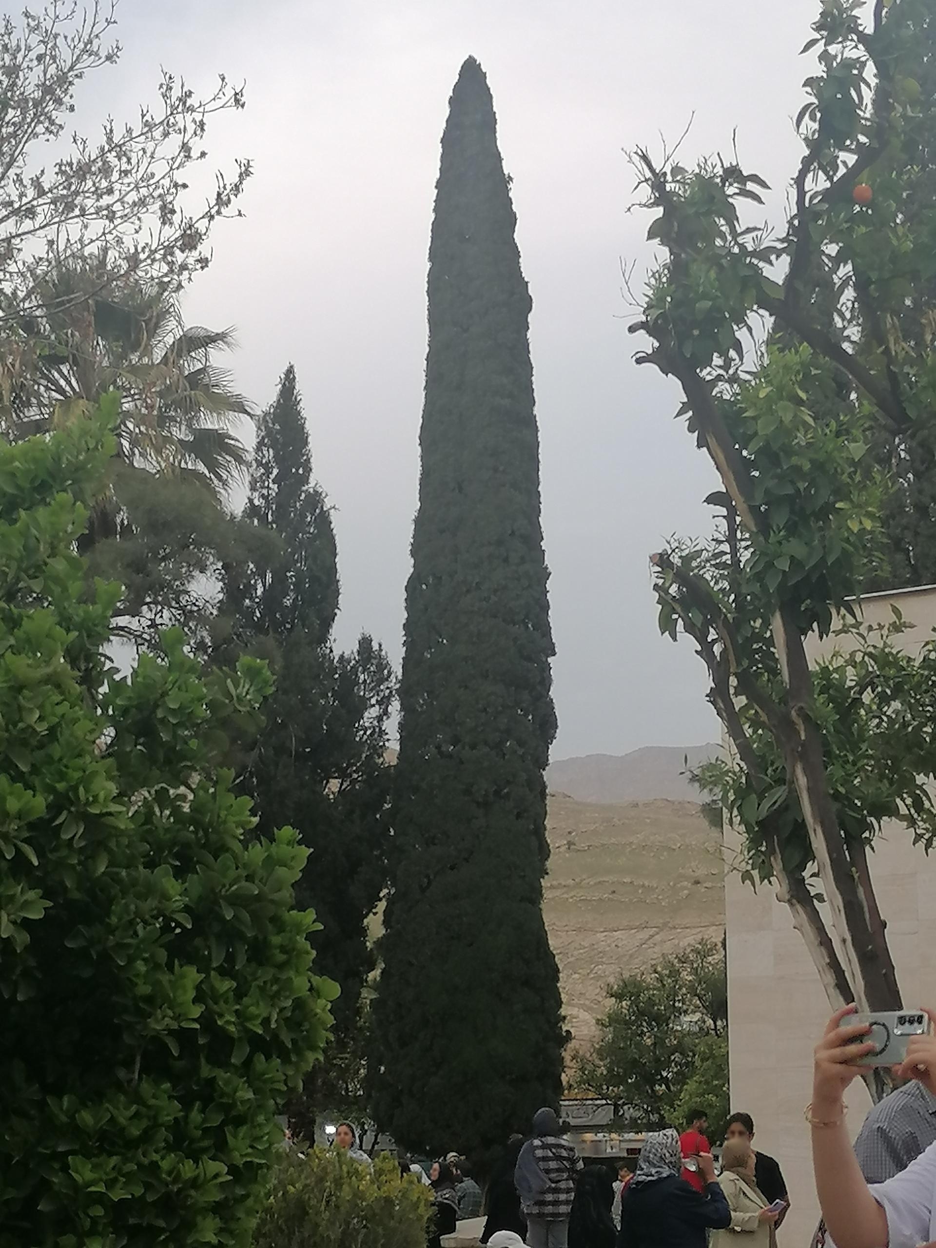 عکس بوستان سعدی