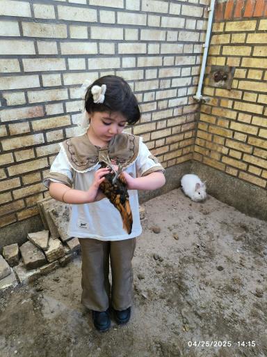 عکس باشگاه سوارکاری اُمیدان