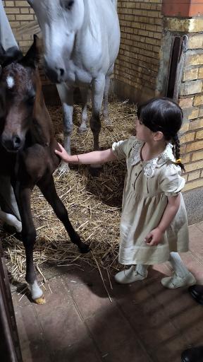 عکس باشگاه سوارکاری اُمیدان