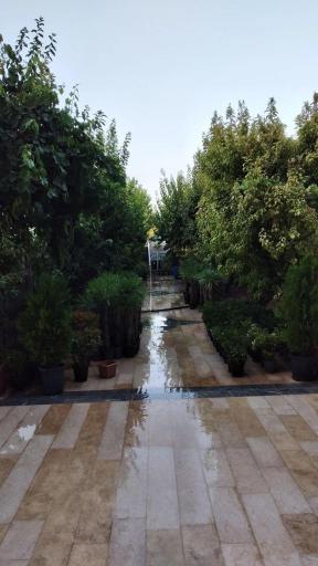 عکس گلخانه آریا کاکتوس