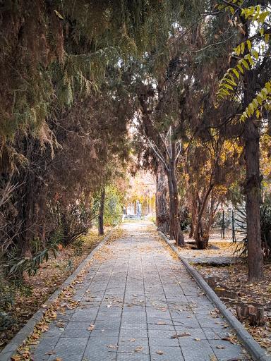 آرامستان تاریخی مسیحیان دولاب